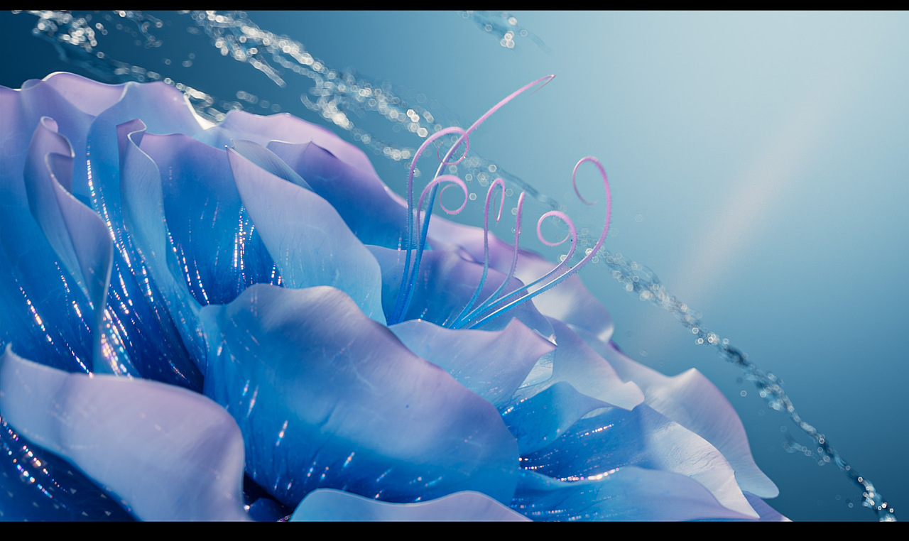 My Label动画系列《滴~流》