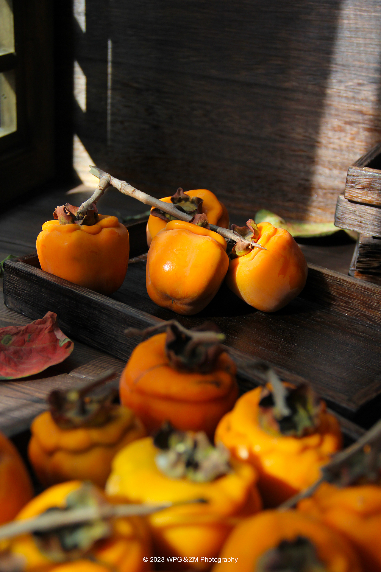 《 好柿成霜 》