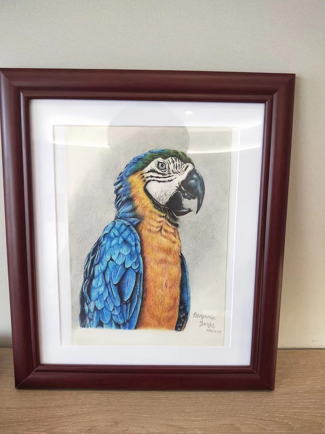 金刚鹦鹉（图ZMzEzMDY2MTQw） - 绘画 - 站酷设计师Benjamin_1993原创素材 - 站酷ZCOOL