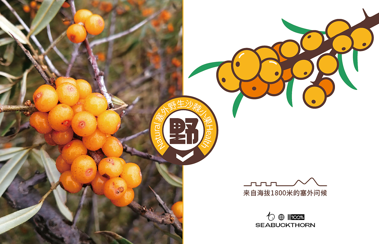 LOGO 包装 包装设计 vi vi设计 ip ip设计 饮料包装(图ZMzUxMTY0MDE2) - 品牌 - 站酷设计师郑昌洪品牌vi包装原创素材 - 站酷ZCOOL