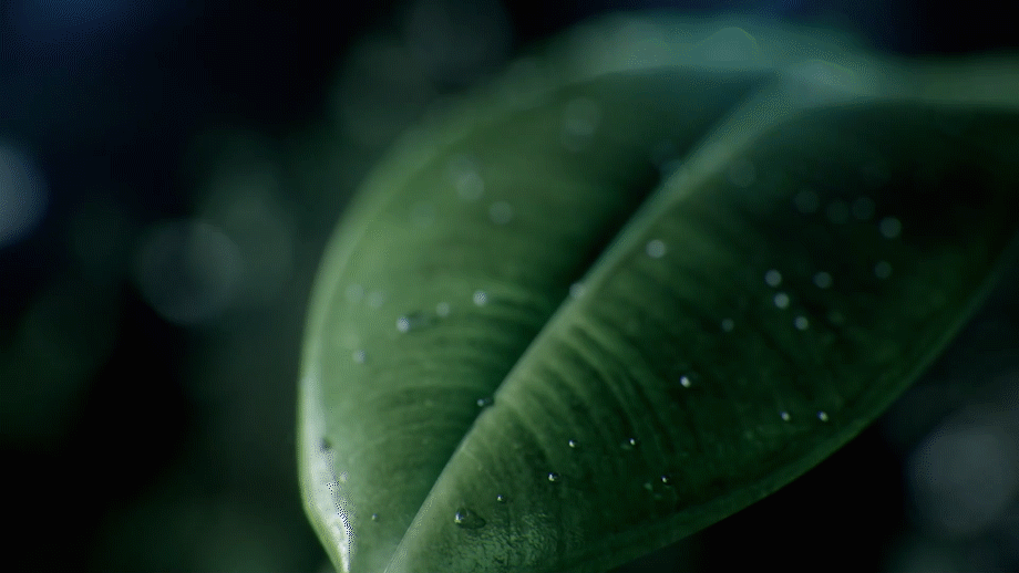 vivo X80系列丨蔡司影像 超越所见（图ZMjk5MjY2MjI4） - 动画/影视 - 站酷设计师NodProduction原创素材 - 站酷ZCOOL