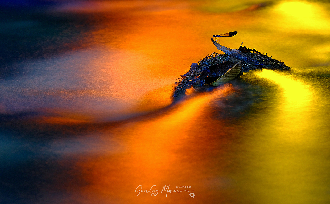 瓜哥生态微距-保护环境 人人有责（图ZMzQ2Nzg5Nzc2） - 其他摄影 - 站酷设计师瓜哥微距摄影原创素材 - 站酷ZCOOL