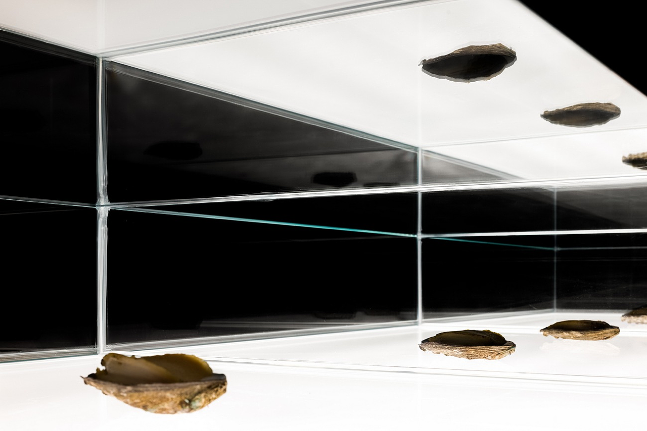 鲍满鲍鱼展示会馆