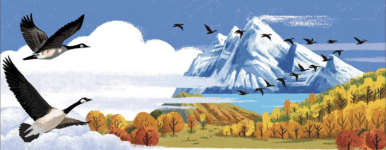 以上是低年级的儿歌用插图，以下是高年级版的短文插图