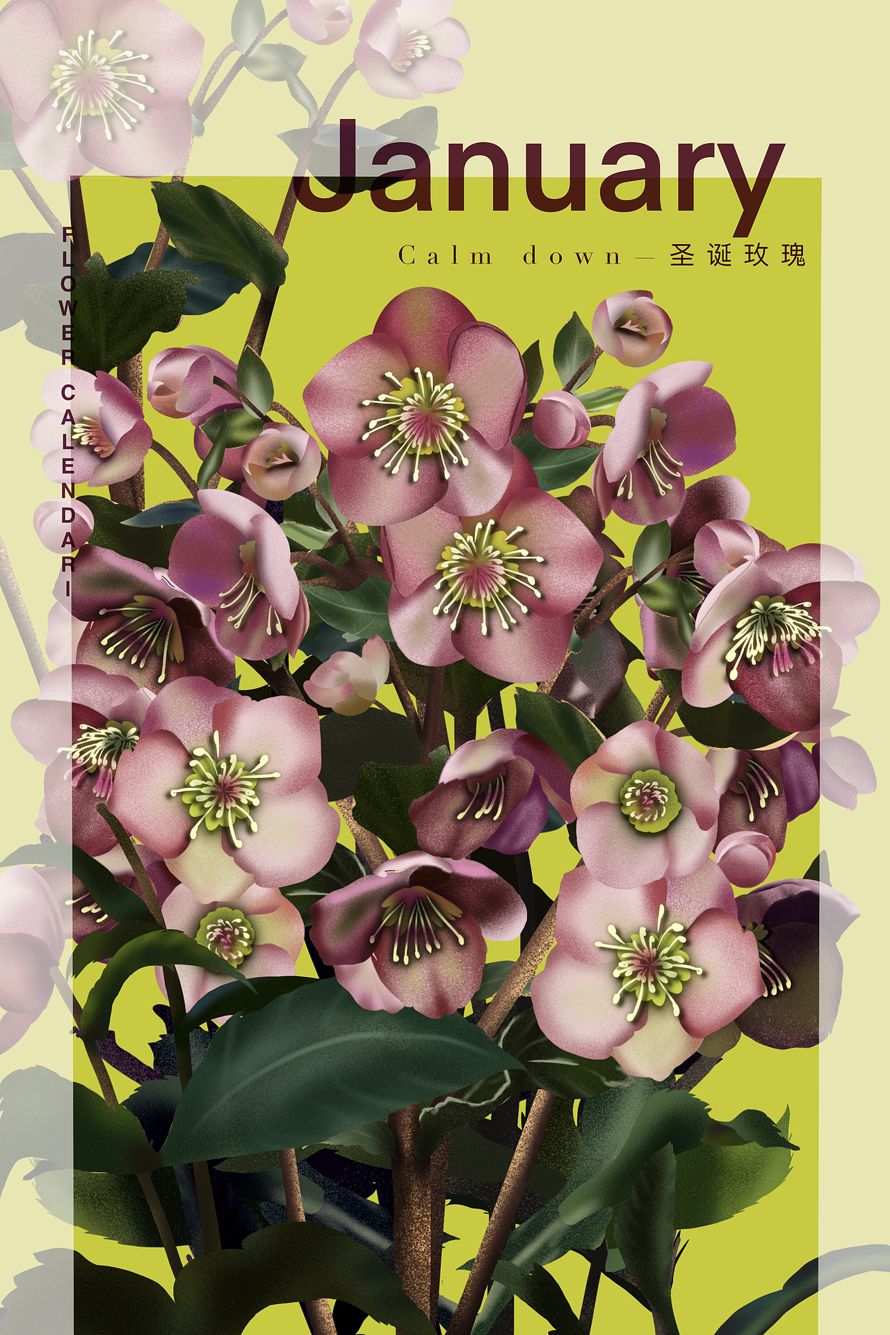 扁平风花卉插画十二月台历