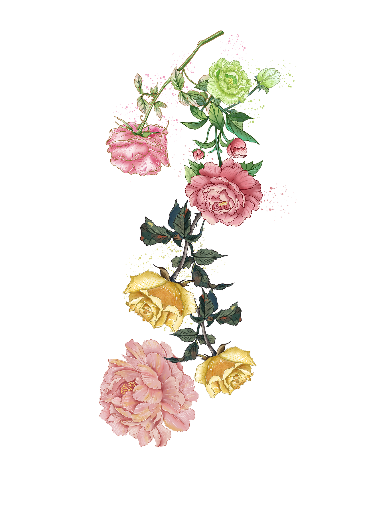 花卉拼接（图ZMzE1NjI1NjAw） - 创作习作 - 站酷设计师捆鸡原创素材 - 站酷ZCOOL