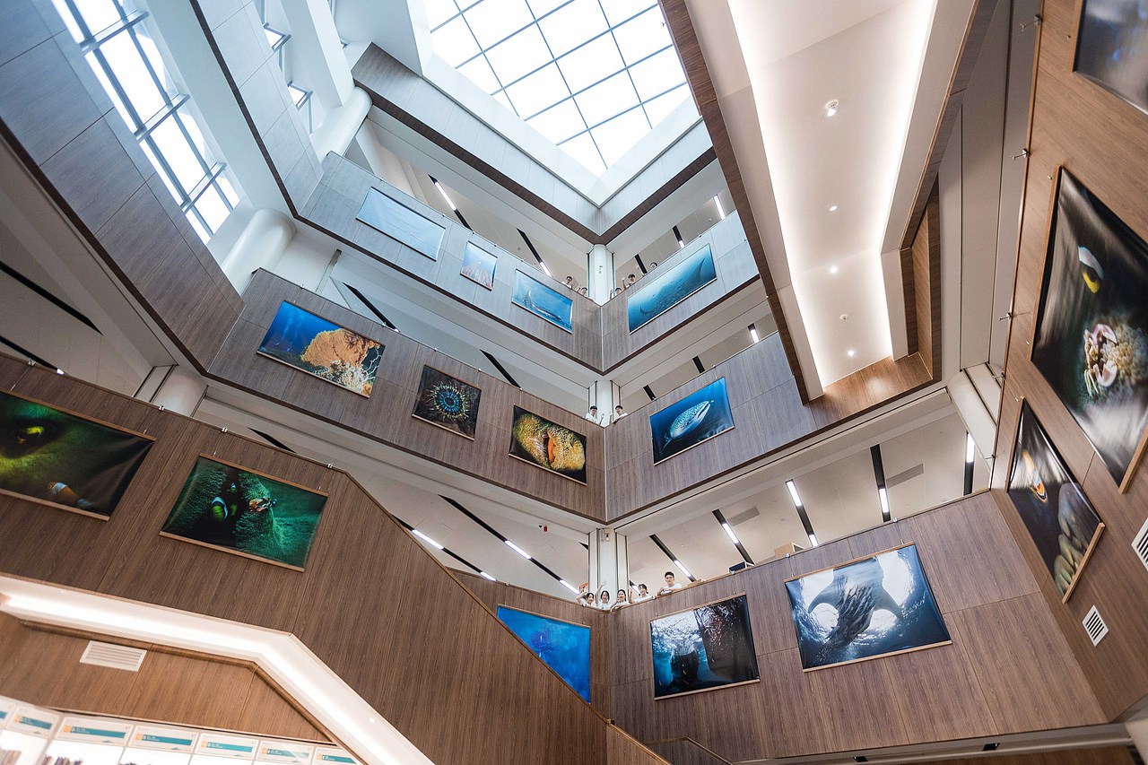 2022南方科技大学毕业拍摄