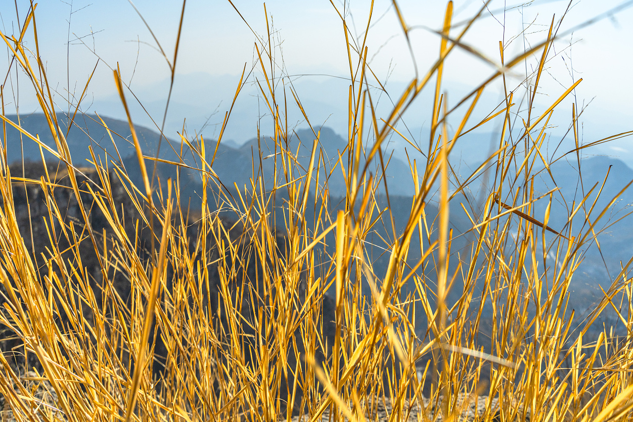 远看山色,近听风声