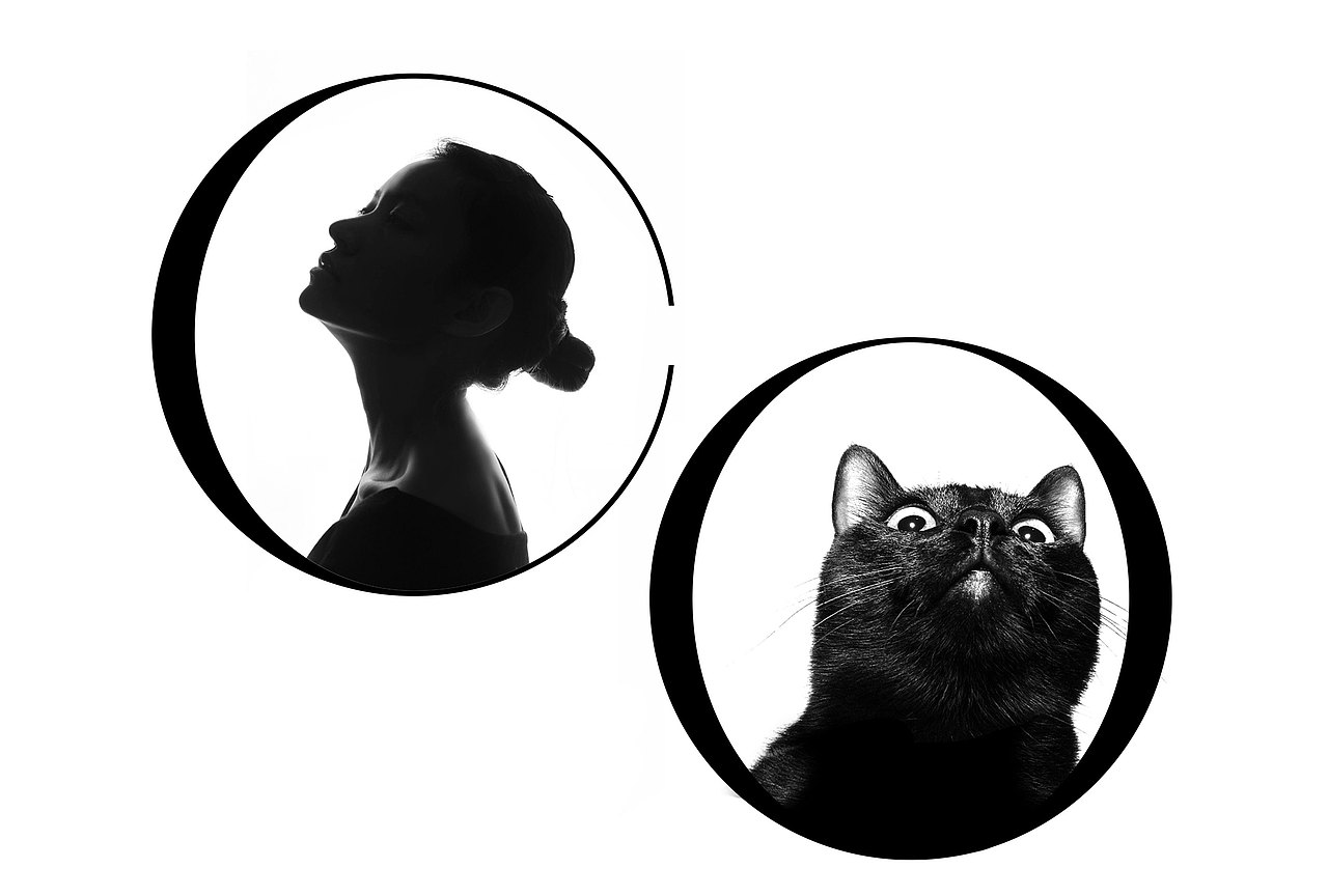 CENO奇若品牌设计（图ZMzI3NDQ3OTky） - 品牌 - 站酷设计师吾苍山原创素材 - 站酷ZCOOL