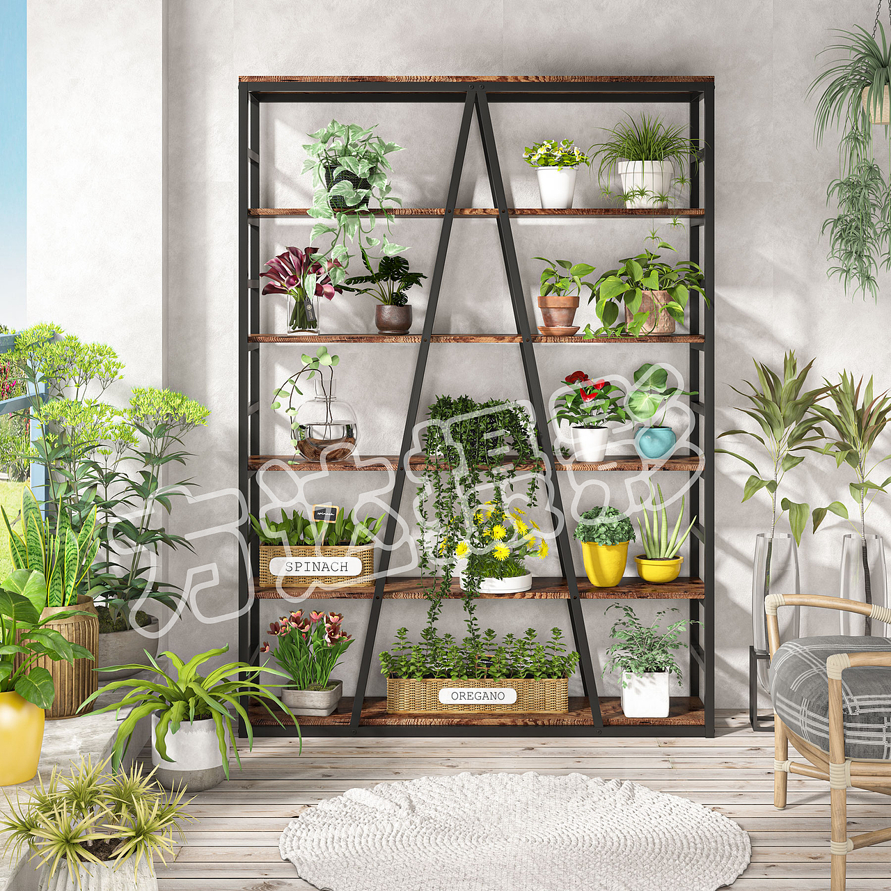 实景拍摄 建模+3D渲染