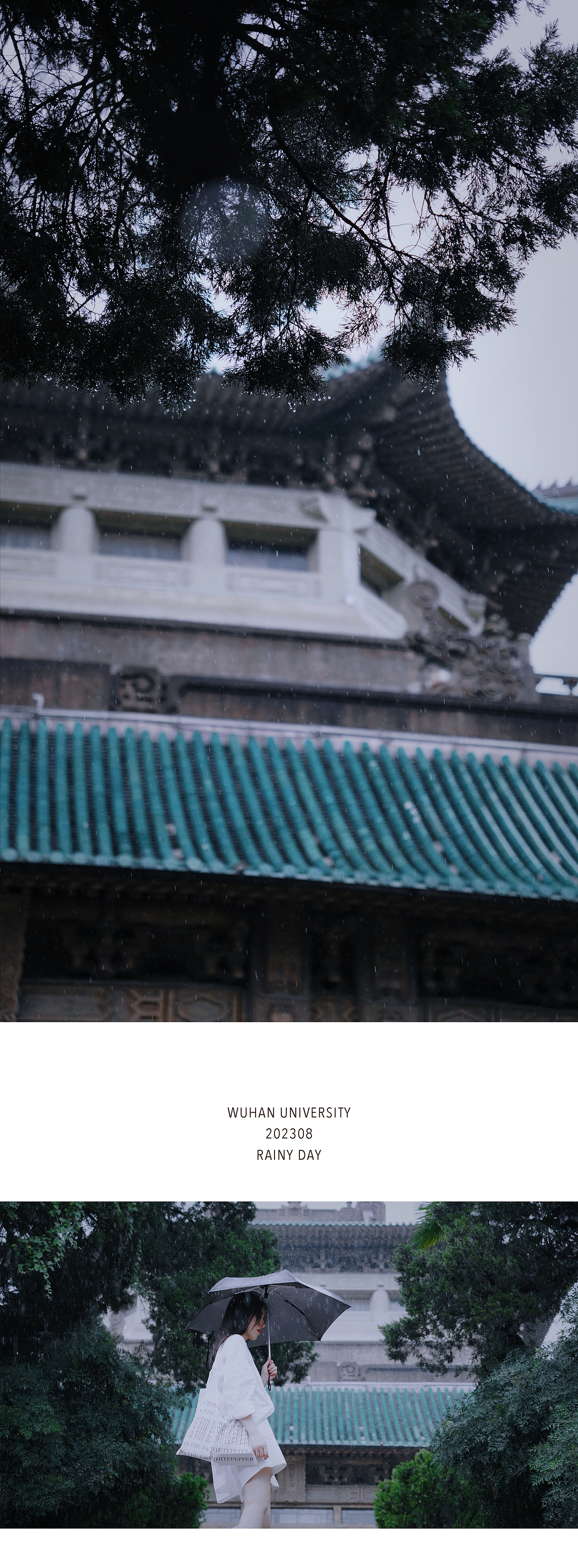 武汉旅拍（图ZMzQ5ODY3MjA4） - 人文/纪实摄影 - 站酷设计师板栗制片原创素材 - 站酷ZCOOL