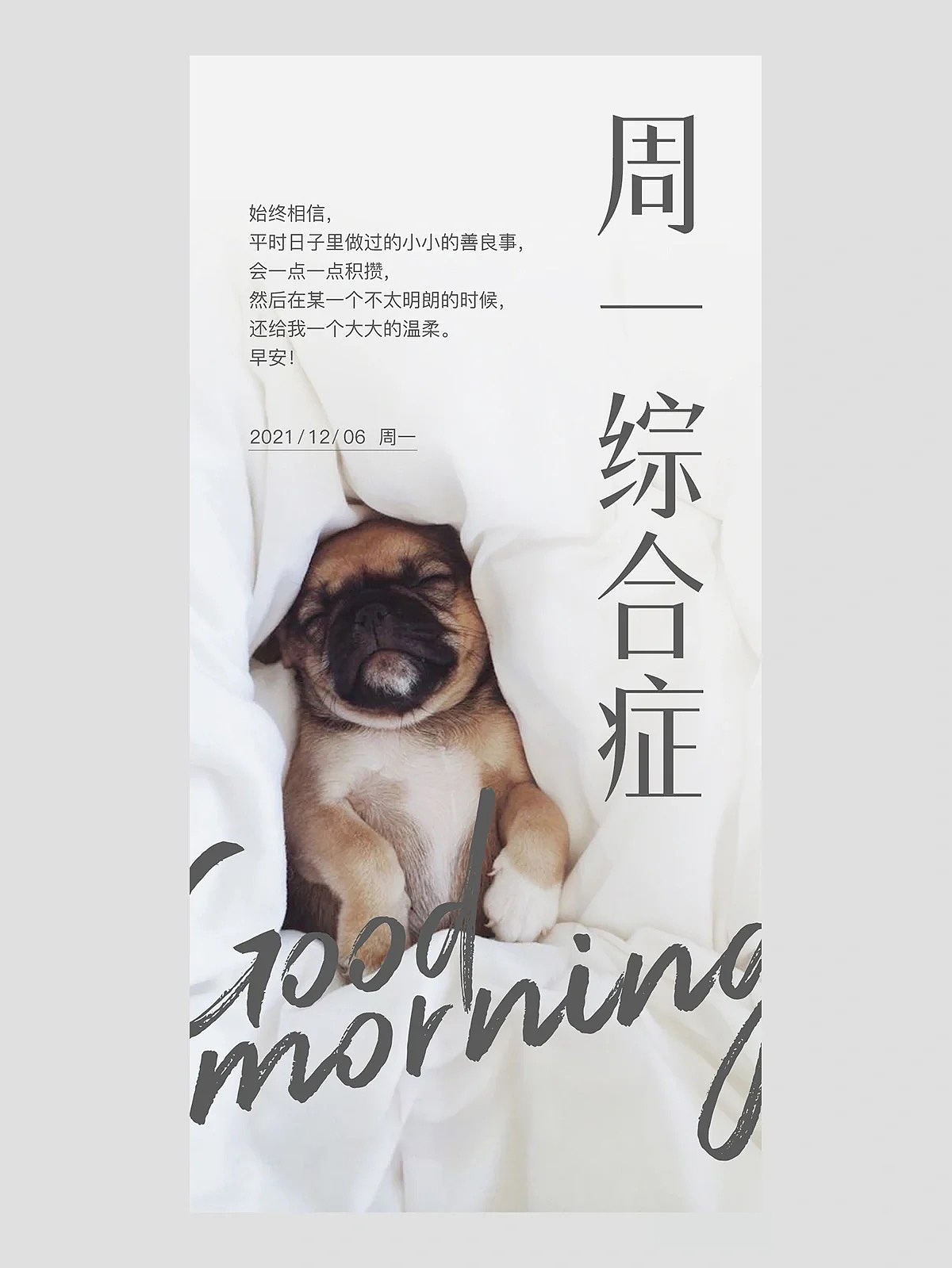 海报1（图ZMzAwMjAxNjY0） - 海报 - 站酷设计师司令吖原创素材 - 站酷ZCOOL