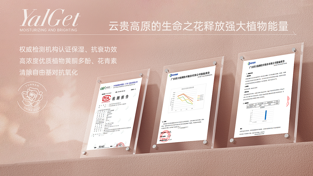 素颜霜新品PPT