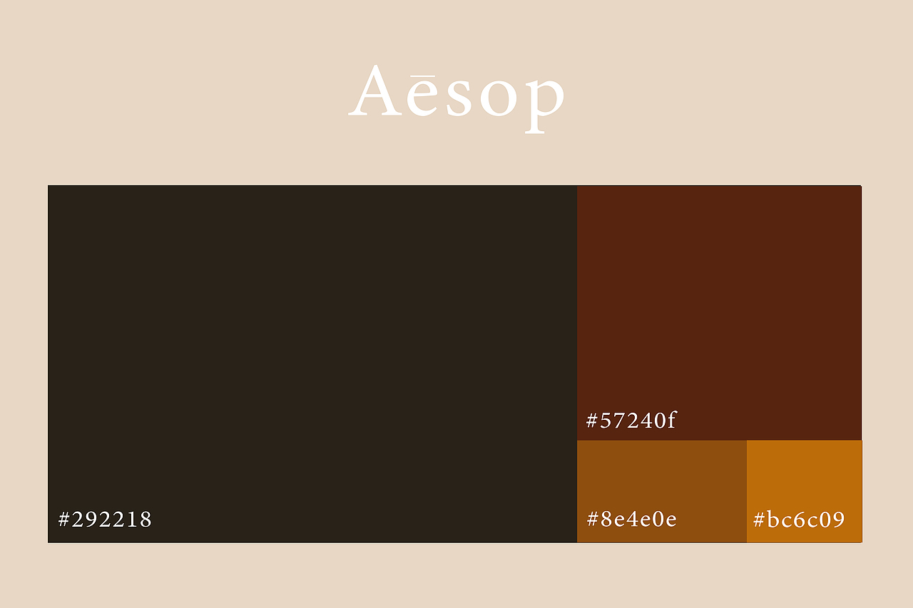 Aesop伊索✖同左 | 平面拍摄