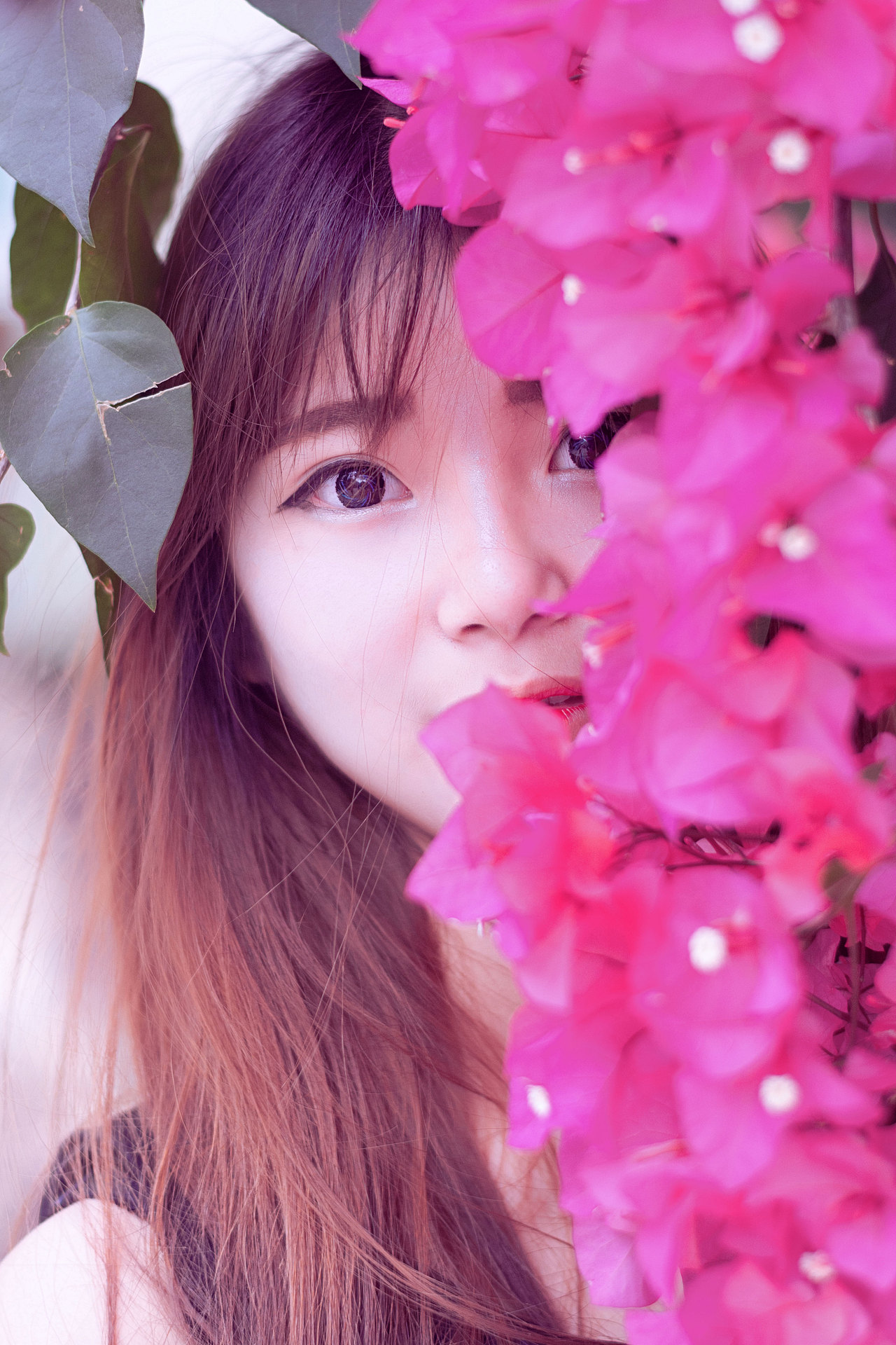 又到了拍花的季节,三角梅人像写真