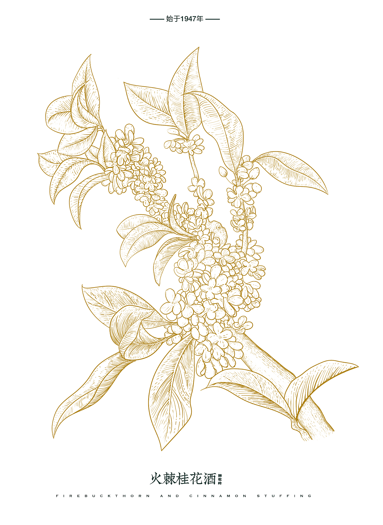 壶瓶山 | 火棘桂花酒包装设计