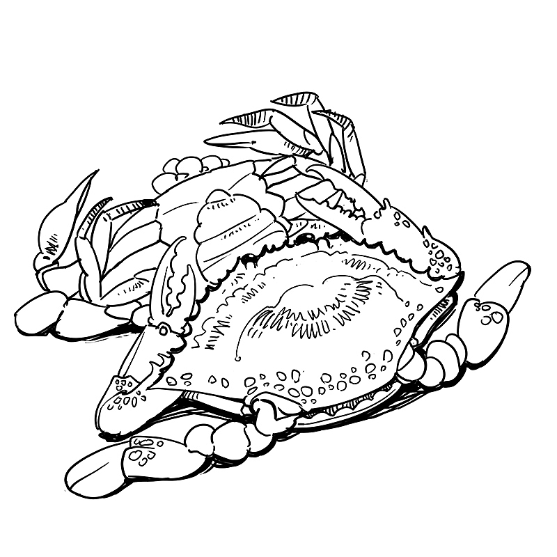 中华美食Chinese Food