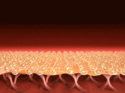 美妆皮肤层科技动图GIF两张