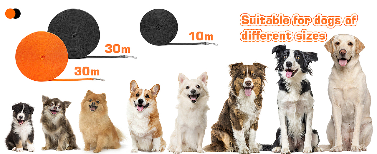 亚马逊产品-狗绳