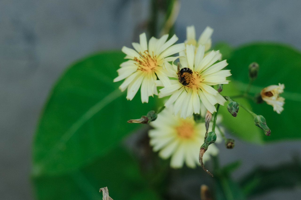 2022，好像拍了，又好像没拍...（图ZMzI1MTc5NTU2） - 其他摄影 - 站酷设计师诗云品牌原创素材 - 站酷ZCOOL