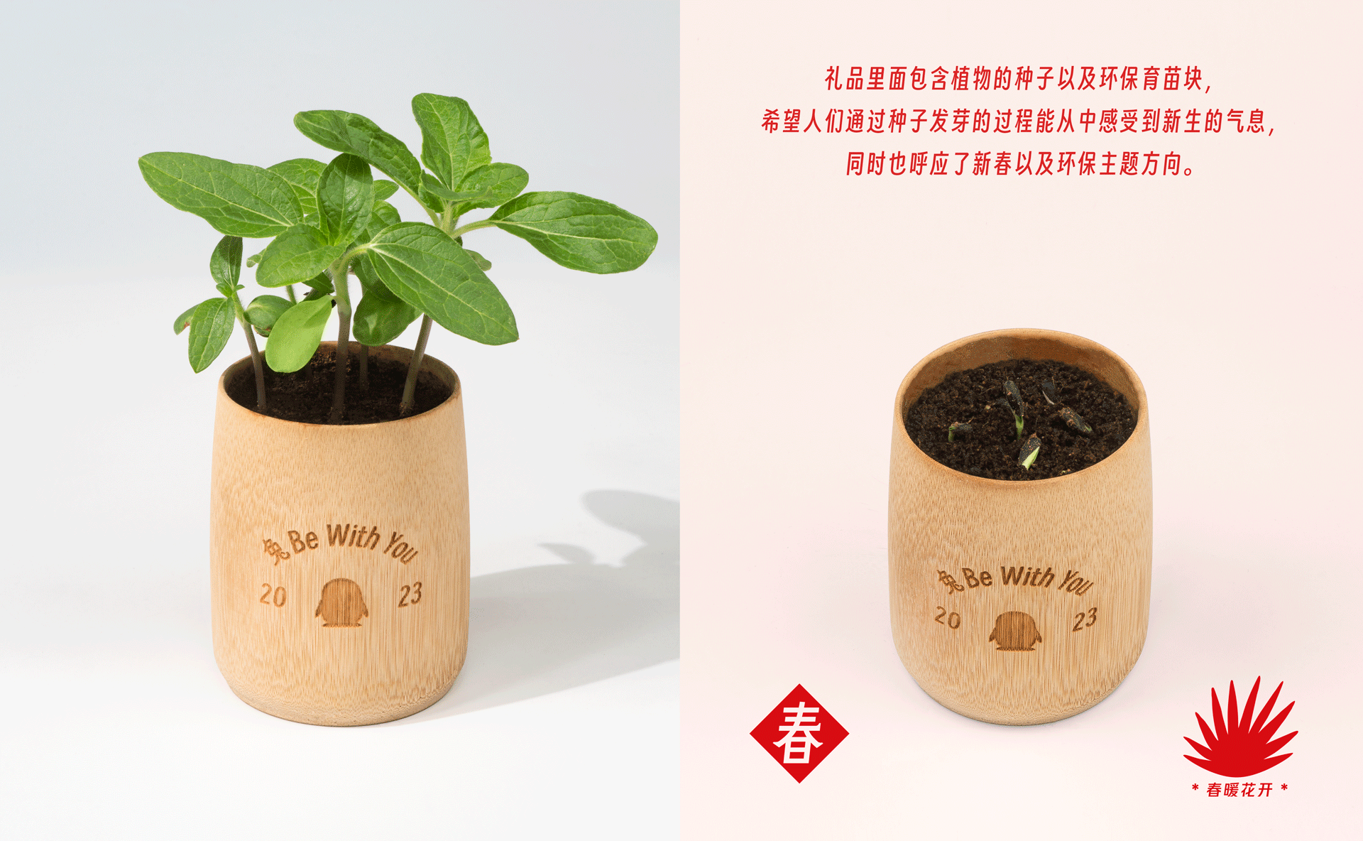 2023年腾讯安平家书礼品包装设计（图ZMzM0Mjk3NTA0） - 包装 - 站酷设计师进退设计原创素材 - 站酷ZCOOL