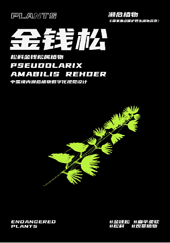 幽明芳荪——中国境内濒危植物数字化视觉形象设计
