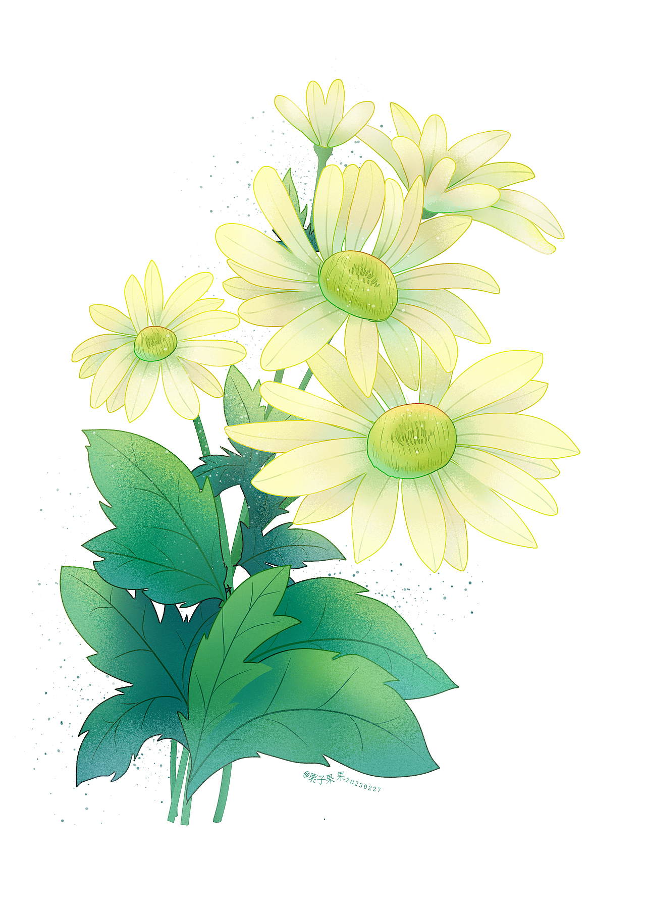 花卉（图ZMzMyMjAzNDcy） - 创作习作 - 站酷设计师粟子果果原创素材 - 站酷ZCOOL