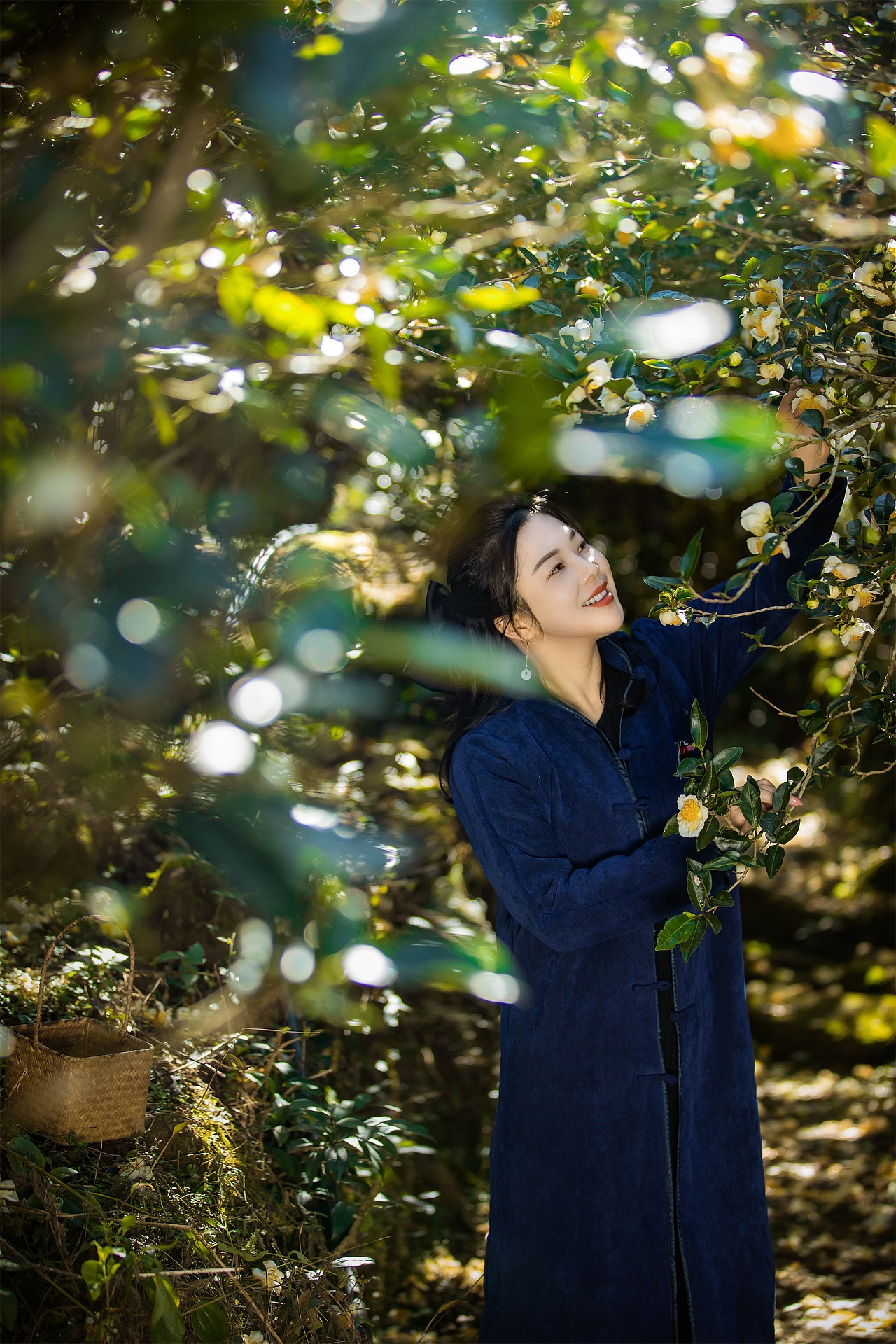 茶山茶花拍摄（图ZMzU3NDg4Mjgw） - 产品摄影 - 站酷设计师听说你也来过原创素材 - 站酷ZCOOL