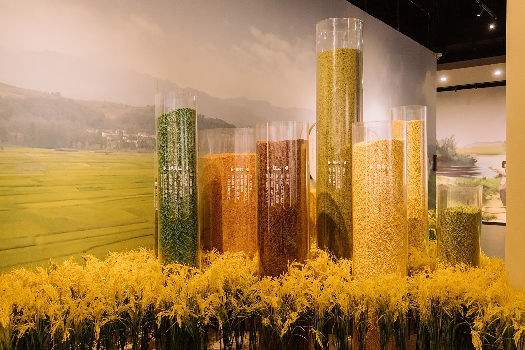 宿迁皂河龙运城景区