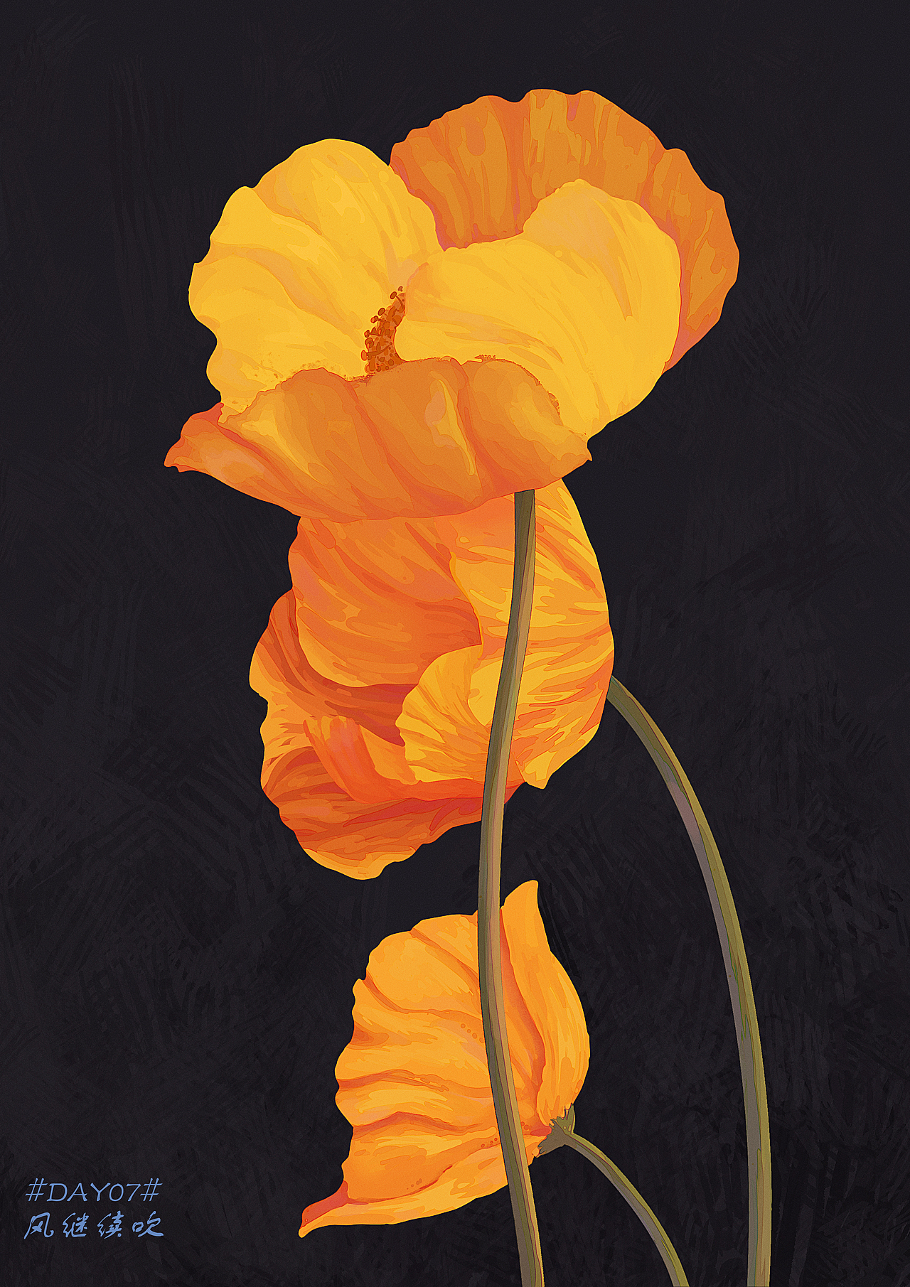 色彩练习 2022.1.1~2022.3.1