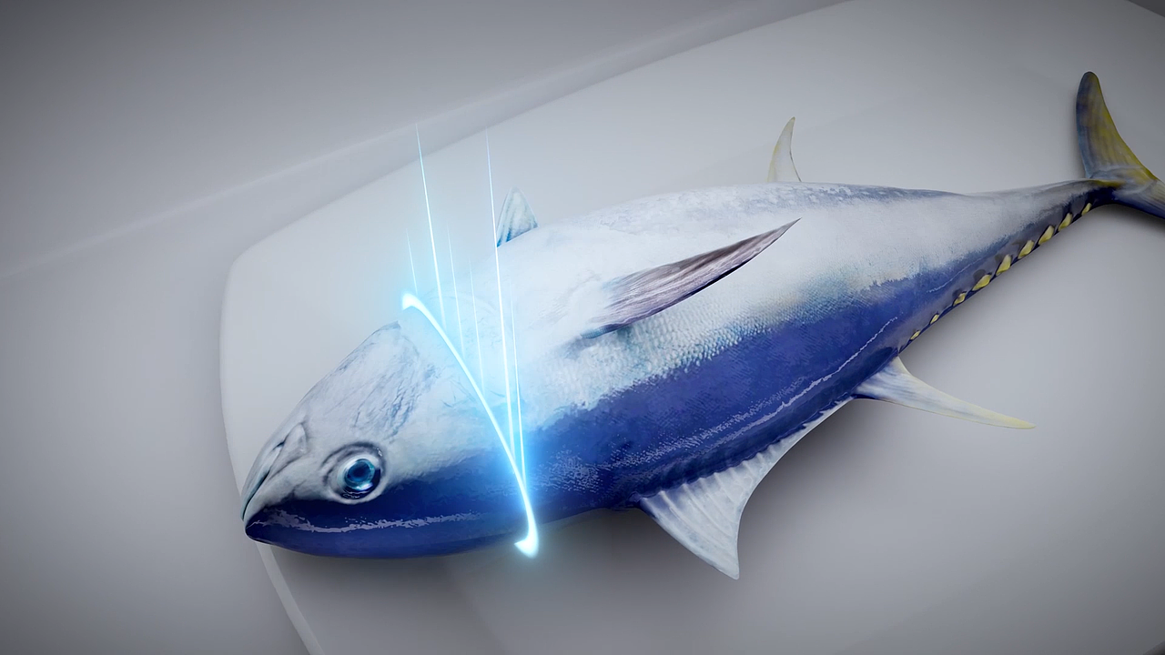 Casarte_RONGJING卡萨帝融境系列冰箱（图ZMzQyNTE1OTY4） - 宣传片 - 站酷设计师MrGanger原创素材 - 站酷ZCOOL