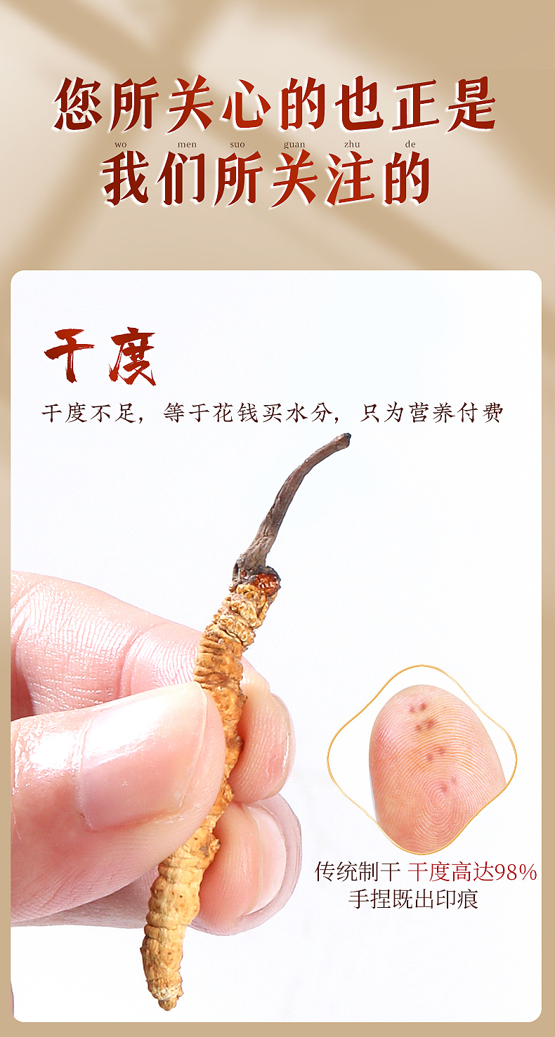 虫草 藏干 滋补品 详情