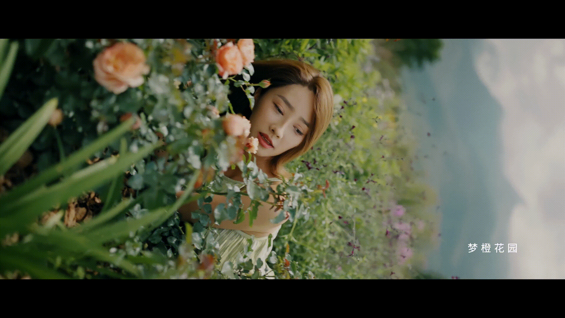 云南旅拍｜慕思创享美学探寻之旅