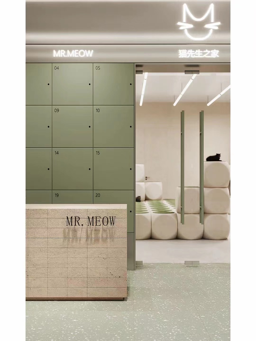 猫咖|又是撸猫的一天