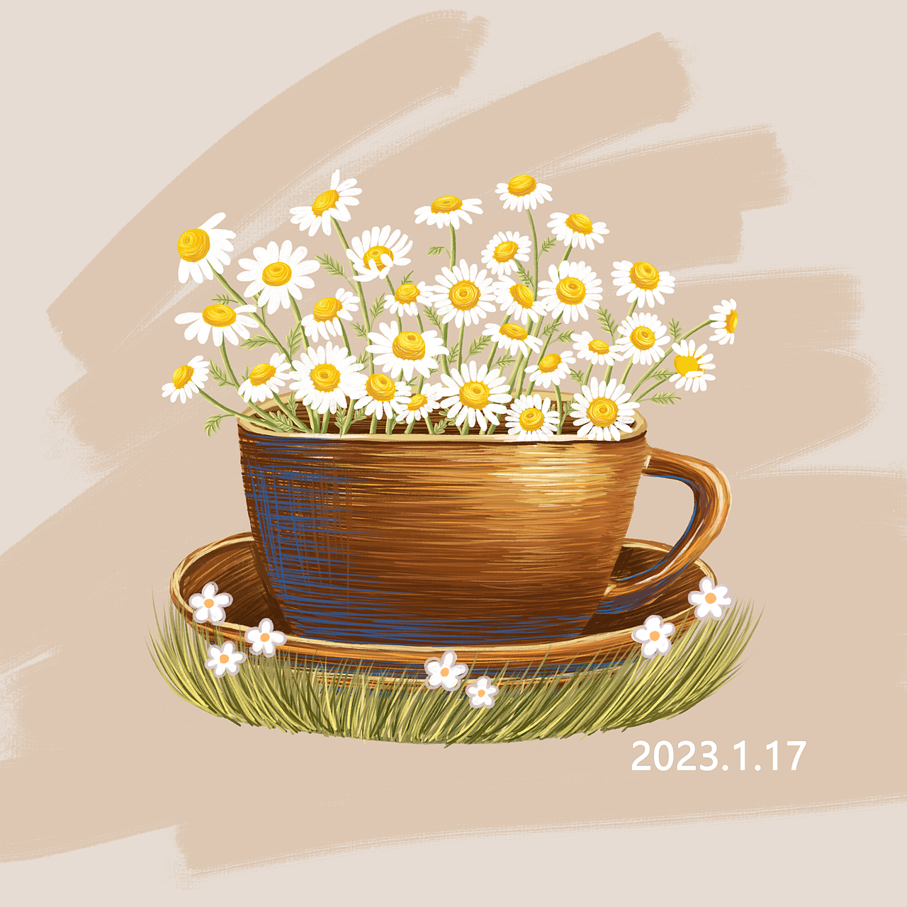 杯中的小雏菊