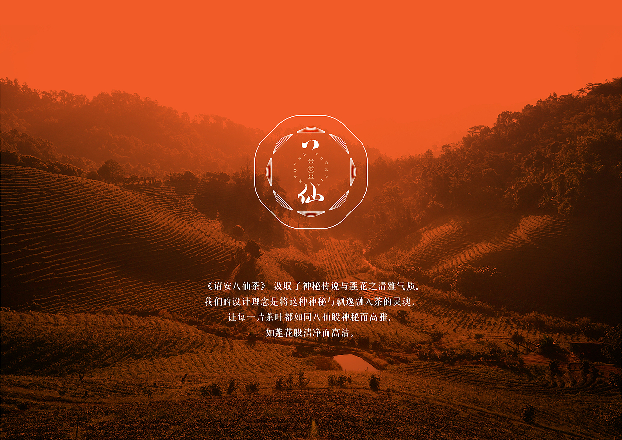 诏安八仙茶品牌文创设计八仙茶标志LOGO设计广告语设计