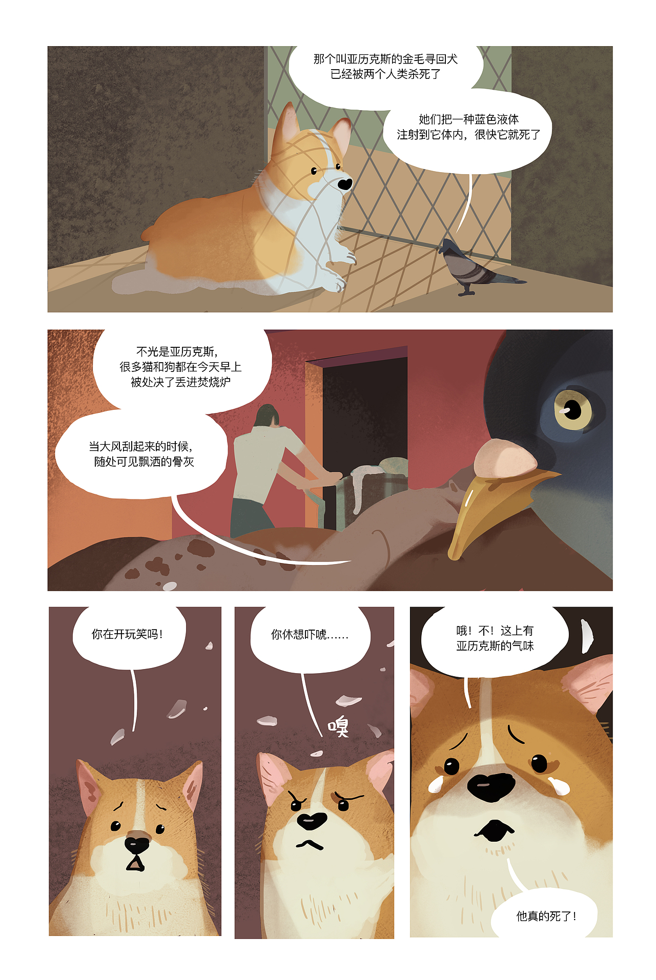 Finding Home