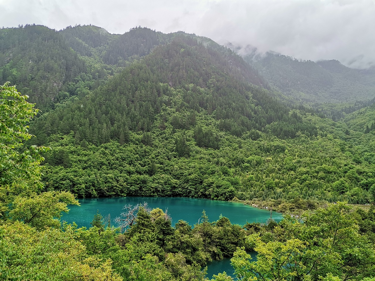 五彩缤纷九寨沟(下)
