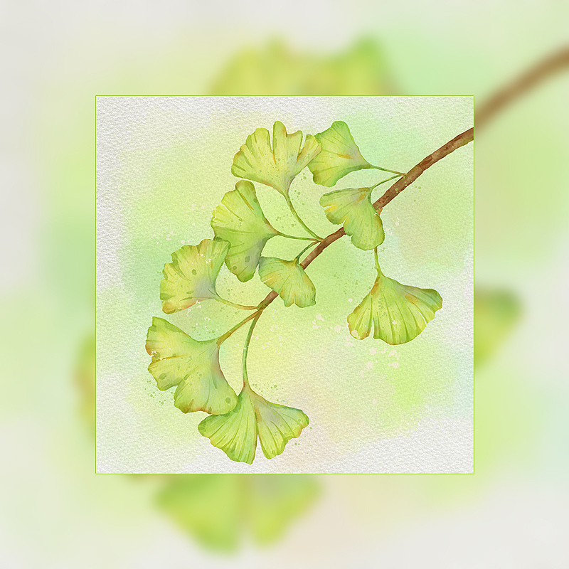 iPad水彩练习 procreate还是蛮香的