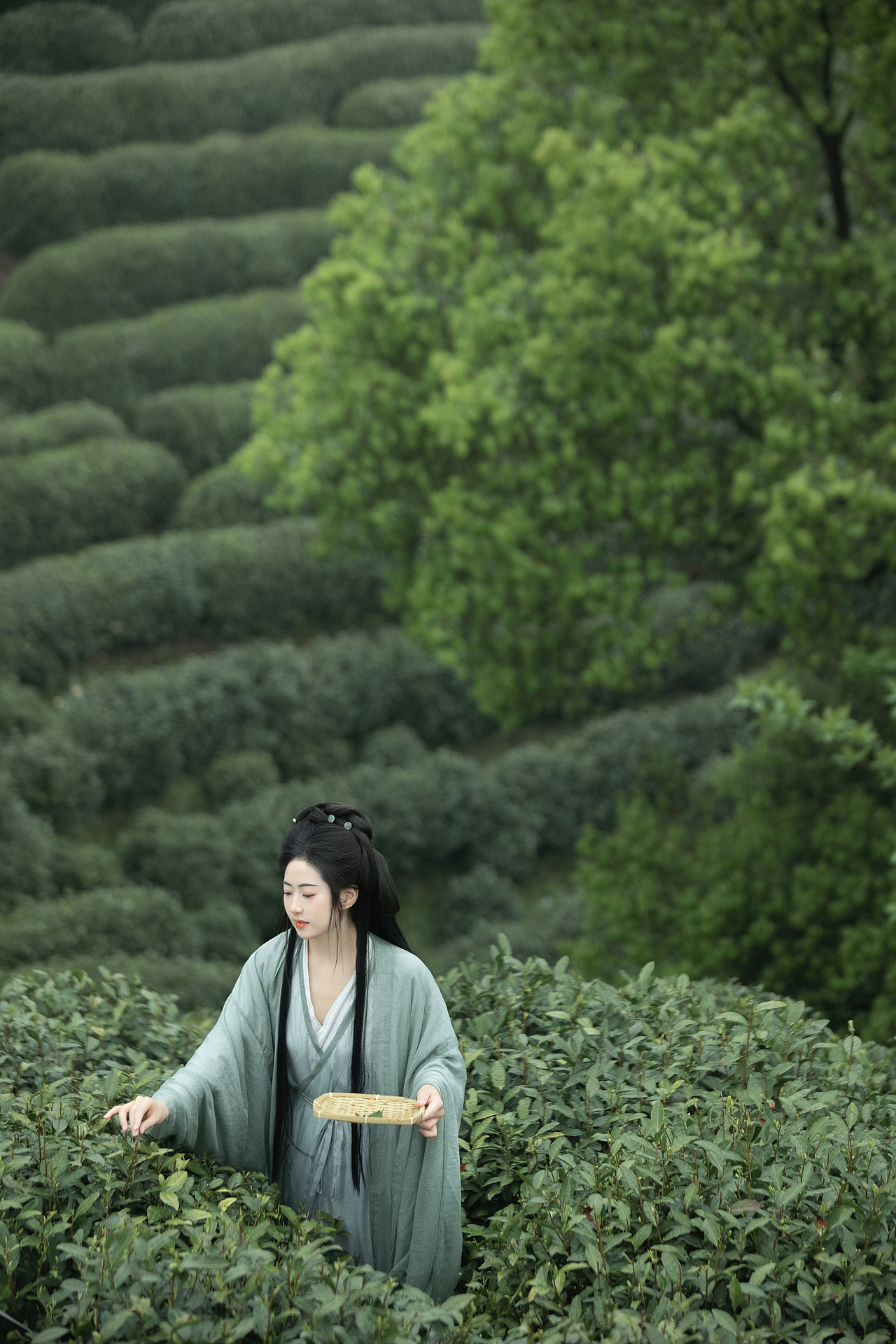 明前绿（图ZMzY5NTMzNjky） - 人像摄影 - 站酷设计师若寒Rock原创素材 - 站酷ZCOOL