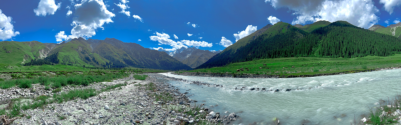 大地色盘-我眼中的新疆