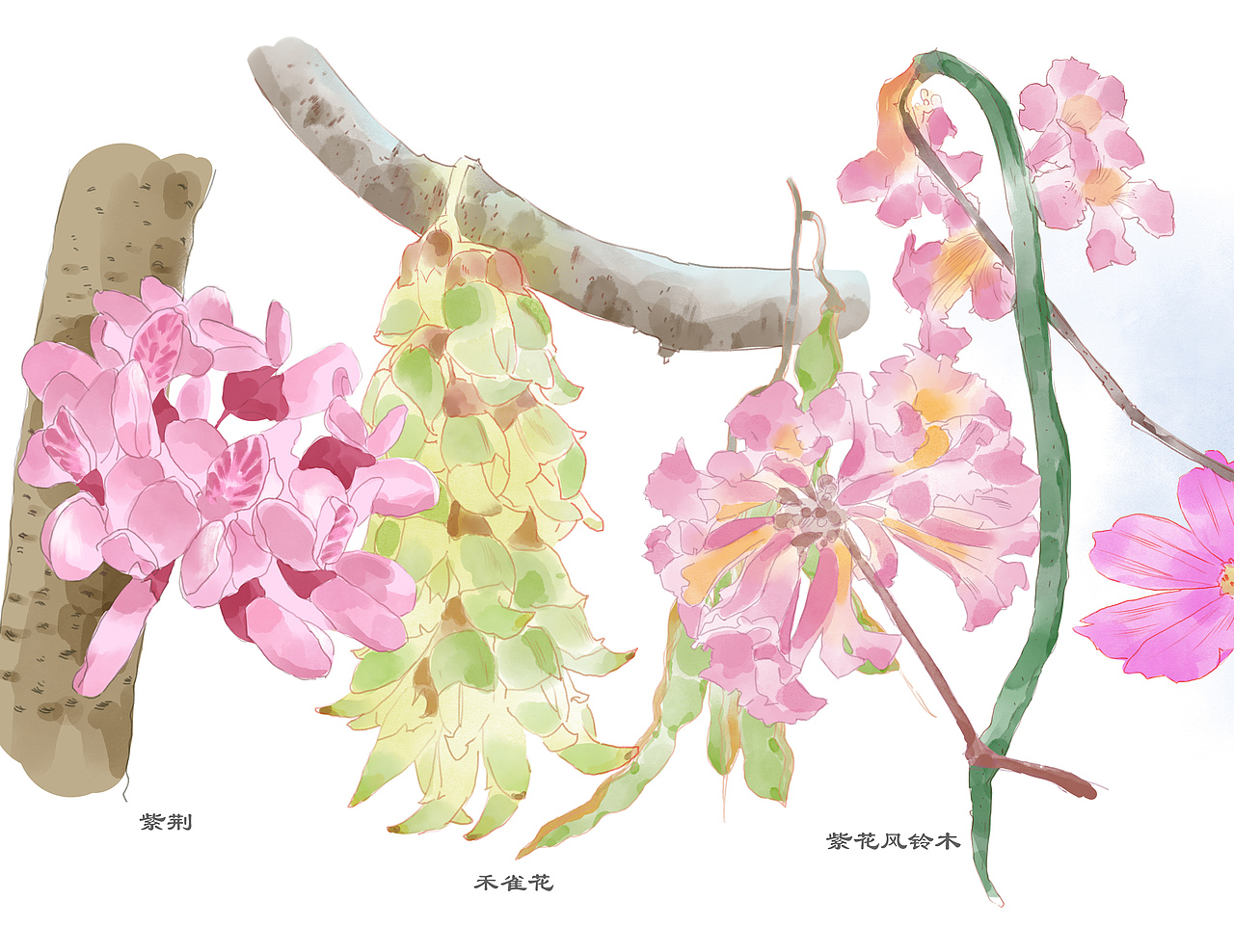 2023廣東省森林文化周春季活動“花開嶺南 綠美廣東”（圖ZMzUxMjE2MDEy） - 宣傳物料 - 站酷設(shè)計師老合鳥子原創(chuàng)素材 - 站酷ZCOOL