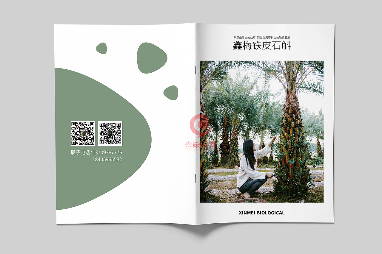 一希品牌设计--石斛植物画册宣传册设计