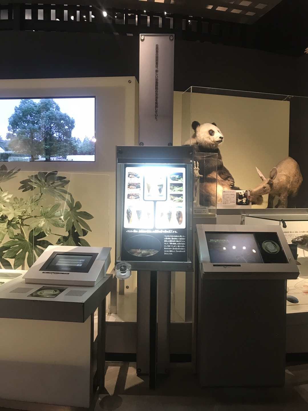 东京国立科学博物馆（图ZMzA5OTUxODQ0） - 展陈设计 - 站酷设计师JIANG2015原创素材 - 站酷ZCOOL