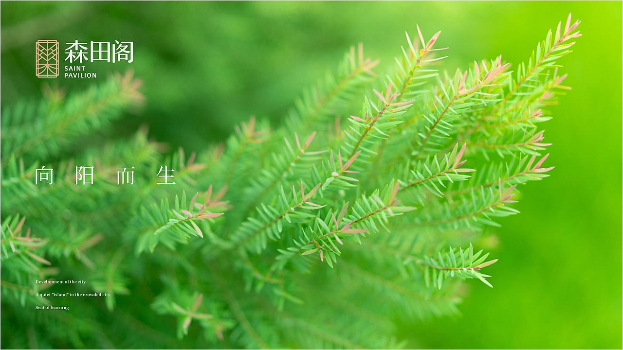 中山森田阁(提报)