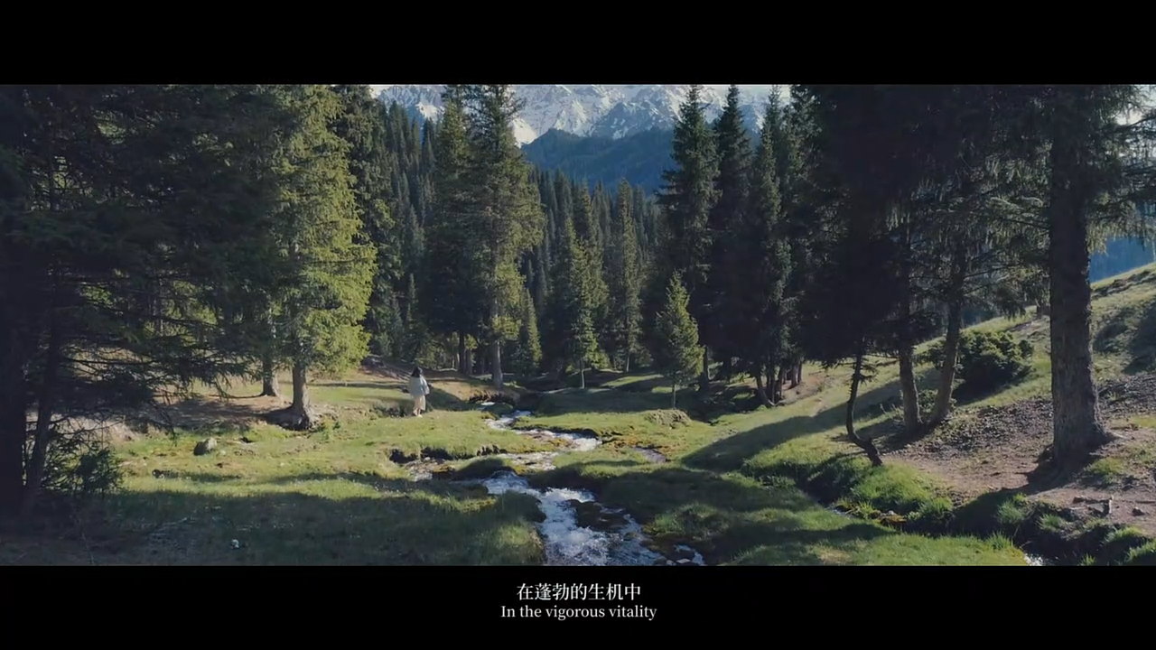 寻光者,一次跨越5000公里的追光之旅