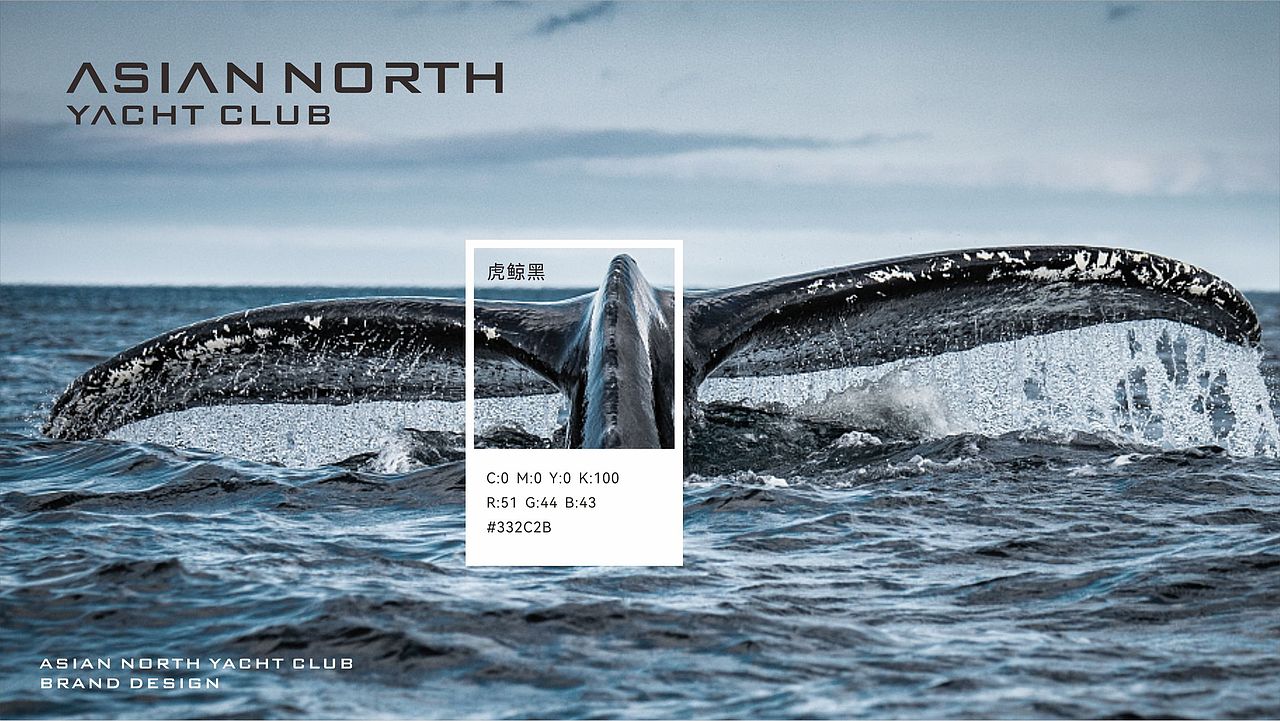 ASIAN NORTH YACHT CLUB亚洲北部帆船俱乐部品牌设计