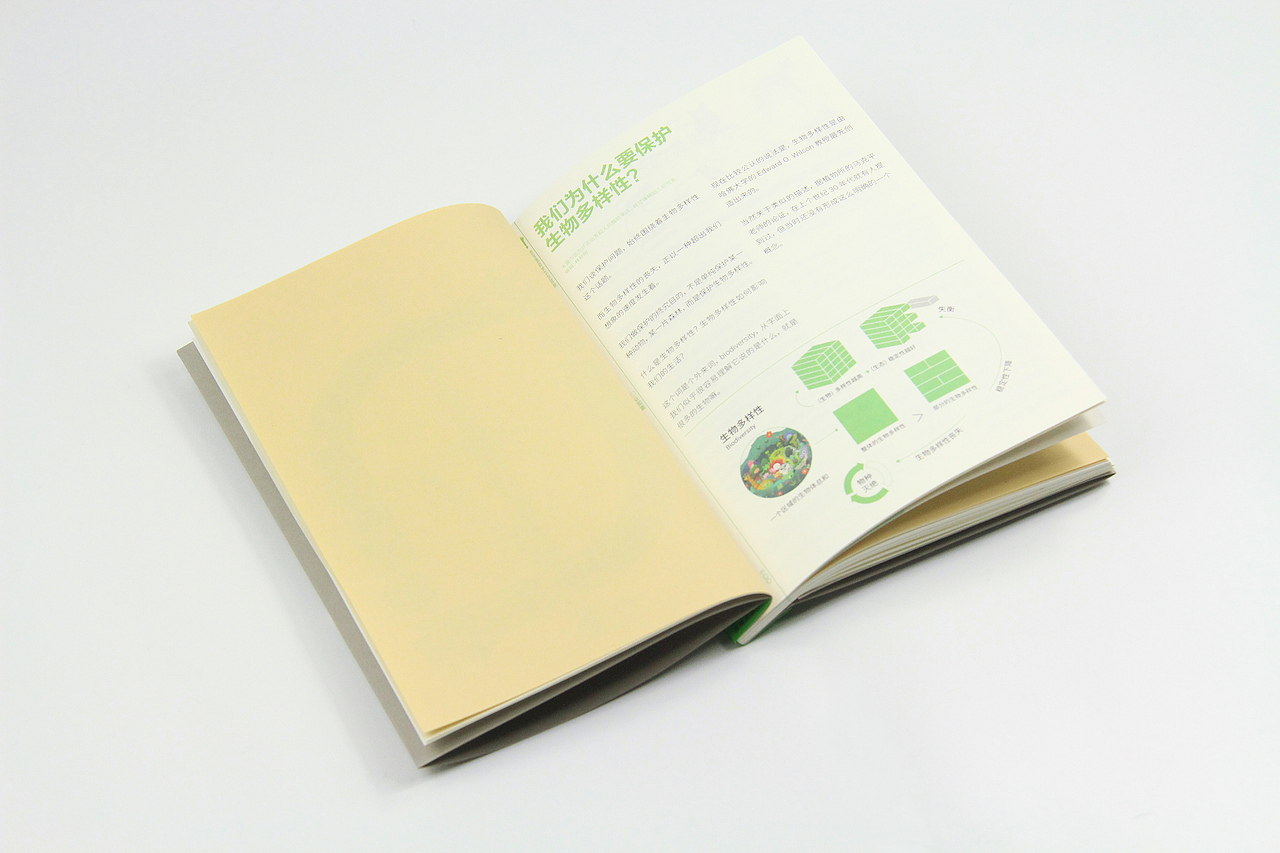 腾讯新闻《我的野朋友行动指南》-杂志装帧设计（图ZMzI4Njk1NTM2） - 书籍/画册 - 站酷设计师Allen_cxl原创素材 - 站酷ZCOOL