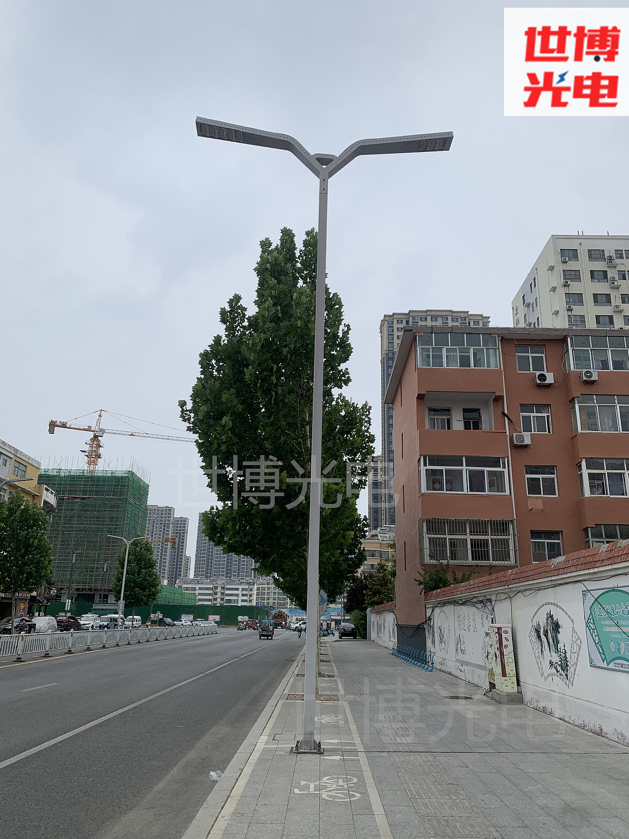 回纹双臂路灯批发-12米回纹路灯杆-特色喷绘双臂路灯杆