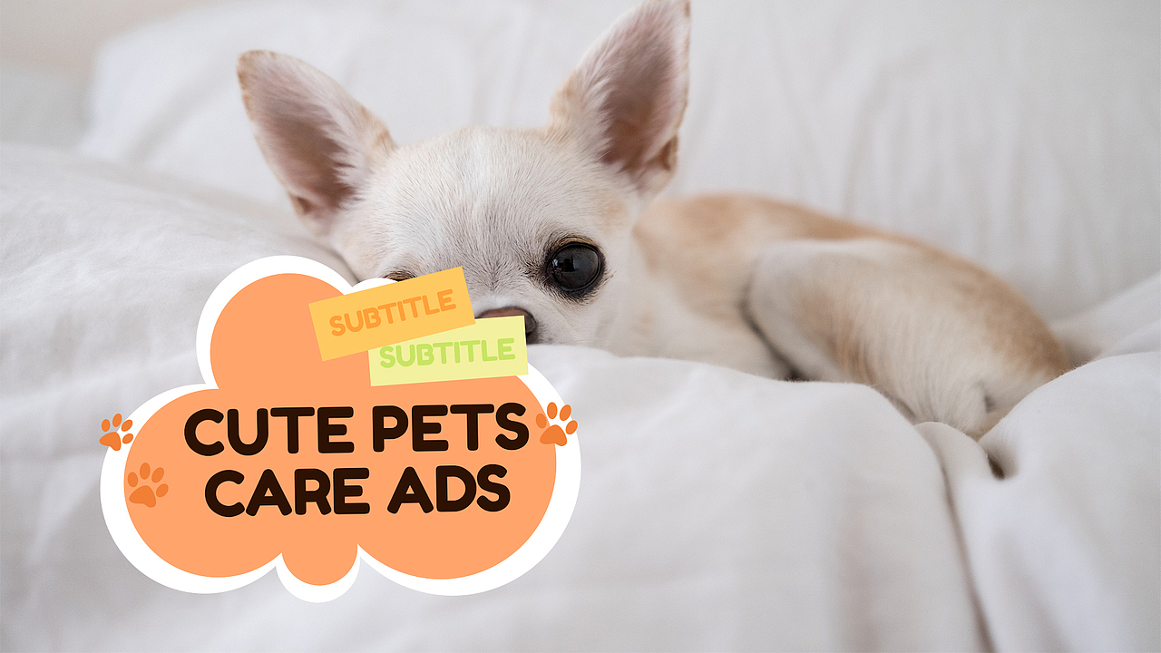 网页动画包装-可爱的宠物护理广告（图ZMzM5OTAzNTky） - 电商 - 站酷设计师饼干块儿原创素材 - 站酷ZCOOL